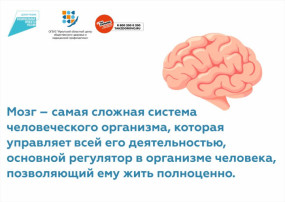 Профилактика заболеваний Профилактика заболеваний.